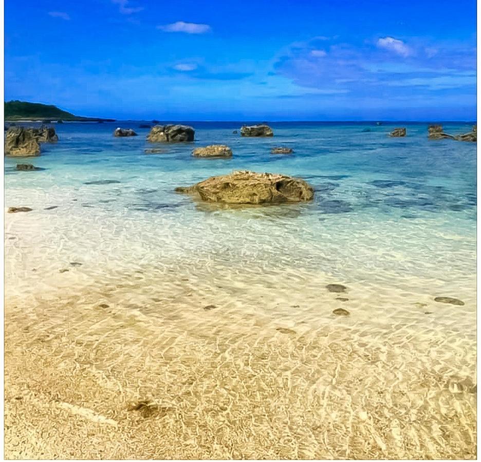 Palm Villa Ishigakijima Yugafu Ishigaki  Exteriér fotografie